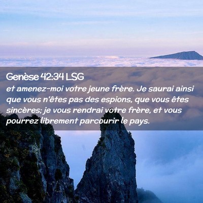 Picture 02 - Genèse 42:34 LSG - et amenez-moi votre jeune frère. Je saurai ainsi - Bible Verse Picture