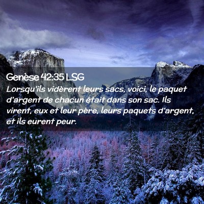 Picture 02 - Genèse 42:35 LSG - Lorsqu'ils vidèrent leurs sacs, voici, le paquet - Bible Verse Picture
