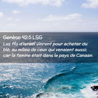 Picture 02 - Genèse 42:5 LSG - Les fils d'Israël vinrent pour acheter du blé, - Bible Verse Picture