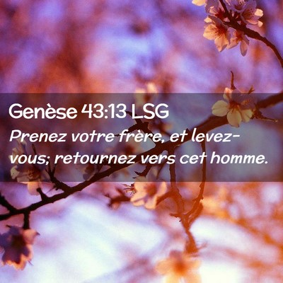 Picture 02 - Genèse 43:13 LSG - Prenez votre frère, et levez-vous; retournez - Bible Verse Picture