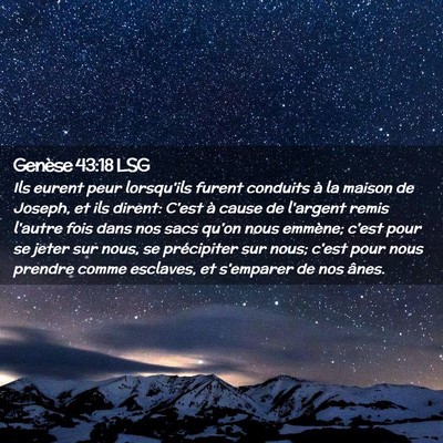 Picture 02 - Genèse 43:18 LSG - Ils eurent peur lorsqu'ils furent conduits à la - Bible Verse Picture