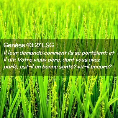 Picture 02 - Genèse 43:27 LSG - Il leur demanda comment ils se portaient; et il - Bible Verse Picture