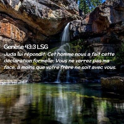 Picture 02 - Genèse 43:3 LSG - Juda lui répondit: Cet homme nous a fait cette - Bible Verse Picture