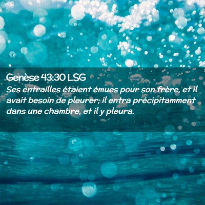 Picture 02 - Genèse 43:30 LSG - Ses entrailles étaient émues pour son frère, - Bible Verse Picture