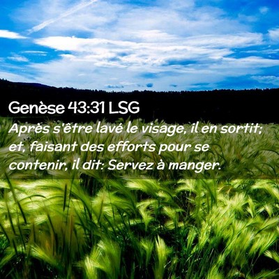 Picture 02 - Genèse 43:31 LSG - Après s'être lavé le visage, il en sortit; et, - Bible Verse Picture