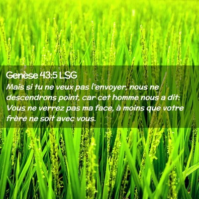 Picture 02 - Genèse 43:5 LSG - Mais si tu ne veux pas l'envoyer, nous ne - Bible Verse Picture
