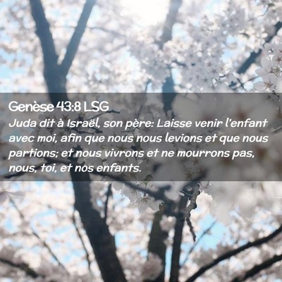 Picture 02 - Genèse 43:8 LSG - Juda dit à Israël, son père: Laisse venir - Bible Verse Picture