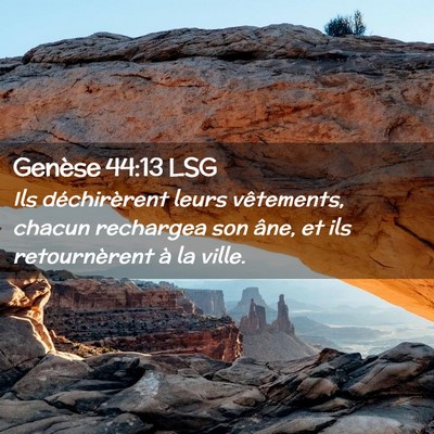 Picture 02 - Genèse 44:13 LSG - Ils déchirèrent leurs vêtements, chacun - Bible Verse Picture