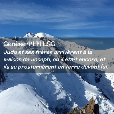 Picture 02 - Genèse 44:14 LSG - Juda et ses frères arrivèrent à la maison de - Bible Verse Picture