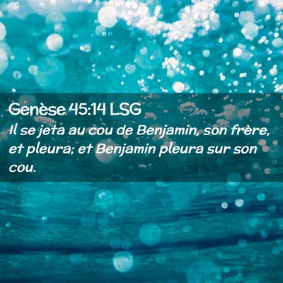 Picture 02 - Genèse 45:14 LSG - Il se jeta au cou de Benjamin, son frère, et - Bible Verse Picture