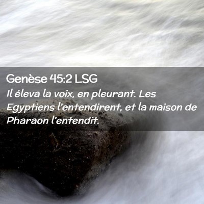 Picture 02 - Genèse 45:2 LSG - Il éleva la voix, en pleurant. Les Egyptiens - Bible Verse Picture