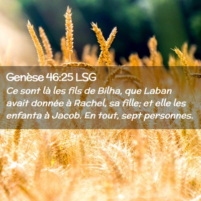 Picture 02 - Genèse 46:25 LSG - Ce sont là les fils de Bilha, que Laban avait - Bible Verse Picture