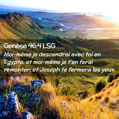 Picture 02 - Genèse 46:4 LSG - Moi-même je descendrai avec toi en Egypte, et - Bible Verse Picture