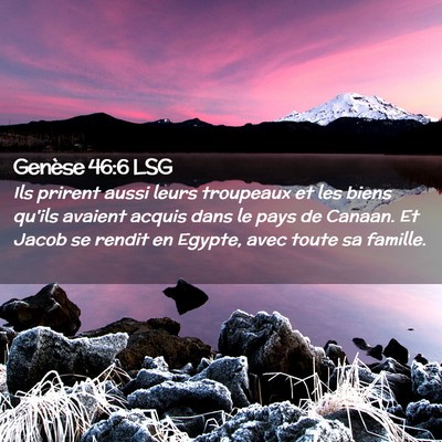 Picture 02 - Genèse 46:6 LSG - Ils prirent aussi leurs troupeaux et les biens - Bible Verse Picture