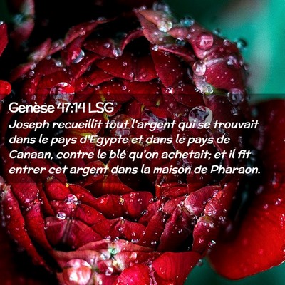 Picture 02 - Genèse 47:14 LSG - Joseph recueillit tout l'argent qui se trouvait - Bible Verse Picture