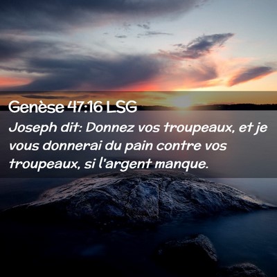 Picture 02 - Genèse 47:16 LSG - Joseph dit: Donnez vos troupeaux, et je vous - Bible Verse Picture