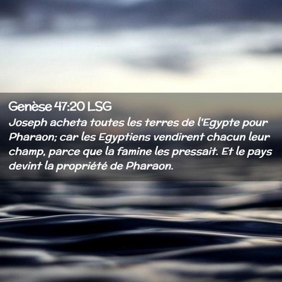 Picture 02 - Genèse 47:20 LSG - Joseph acheta toutes les terres de l'Egypte pour - Bible Verse Picture