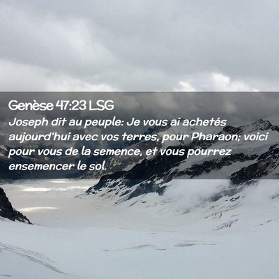 Picture 02 - Genèse 47:23 LSG - Joseph dit au peuple: Je vous ai achetés - Bible Verse Picture