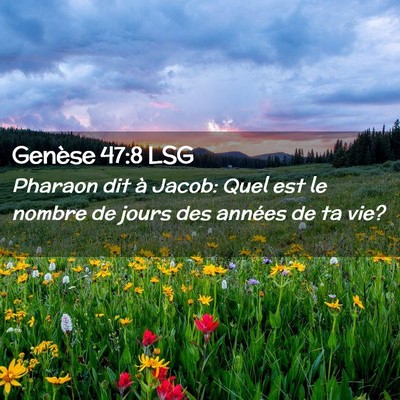 Picture 02 - Genèse 47:8 LSG - Pharaon dit à Jacob: Quel est le nombre de jours - Bible Verse Picture