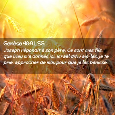 Picture 02 - Genèse 48:9 LSG - Joseph répondit à son père: Ce sont mes fils, - Bible Verse Picture
