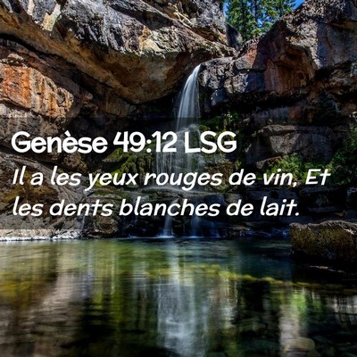 Picture 02 - Genèse 49:12 LSG - Il a les yeux rouges de vin, Et les dents - Bible Verse Picture