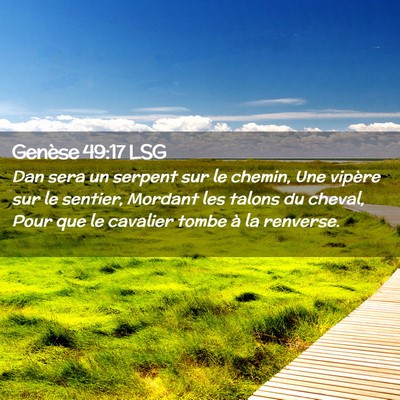 Picture 02 - Genèse 49:17 LSG - Dan sera un serpent sur le chemin, Une vipère - Bible Verse Picture