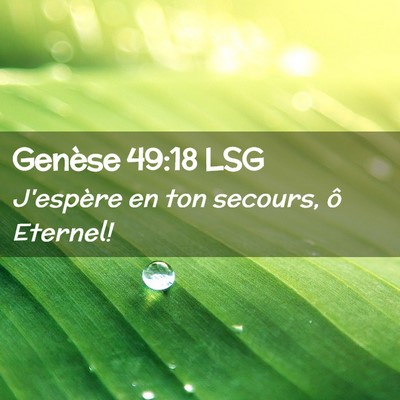 Picture 02 - Genèse 49:18 LSG - J'espère en ton secours, ô - Bible Verse Picture