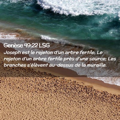 Picture 02 - Genèse 49:22 LSG - Joseph est le rejeton d'un arbre fertile, Le - Bible Verse Picture