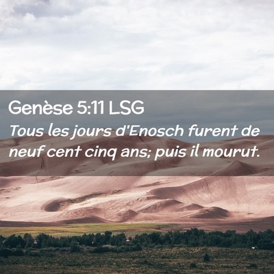 Picture 02 - Genèse 5:11 LSG - Tous les jours d'Enosch furent de neuf cent cinq - Bible Verse Picture