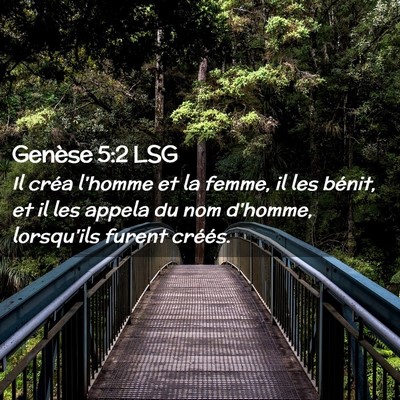 Picture 02 - Genèse 5:2 LSG - Il créa l'homme et la femme, il les bénit, et - Bible Verse Picture