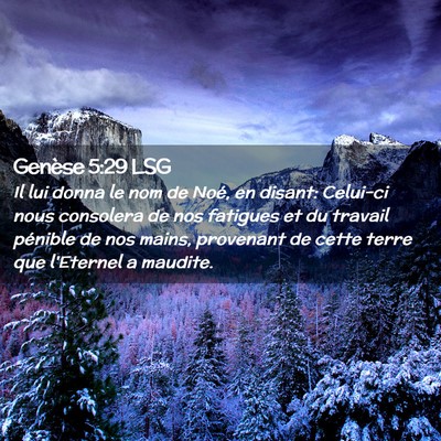 Picture 02 - Genèse 5:29 LSG - Il lui donna le nom de Noé, en disant: Celui-ci - Bible Verse Picture