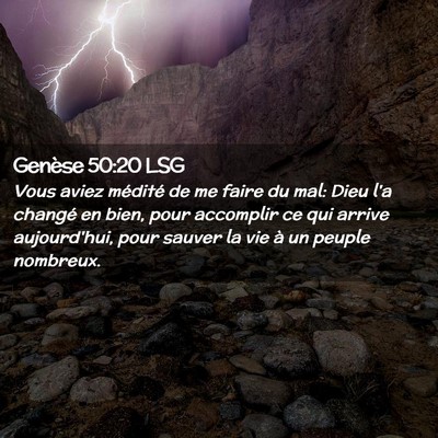 Picture 02 - Genèse 50:20 LSG - Vous aviez médité de me faire du mal: Dieu l'a - Bible Verse Picture