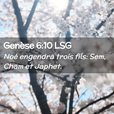 Picture 02 - Genèse 6:10 LSG - Noé engendra trois fils: Sem, Cham et - Bible Verse Picture