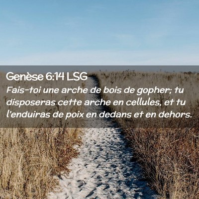Picture 02 - Genèse 6:14 LSG - Fais-toi une arche de bois de gopher; tu - Bible Verse Picture