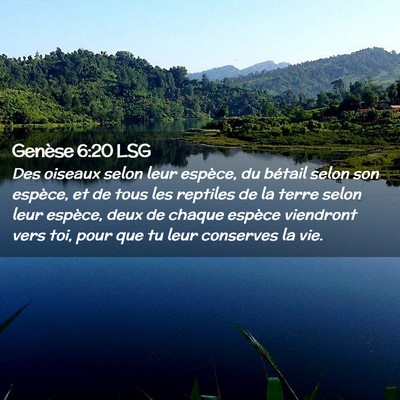 Picture 02 - Genèse 6:20 LSG - Des oiseaux selon leur espèce, du bétail selon - Bible Verse Picture