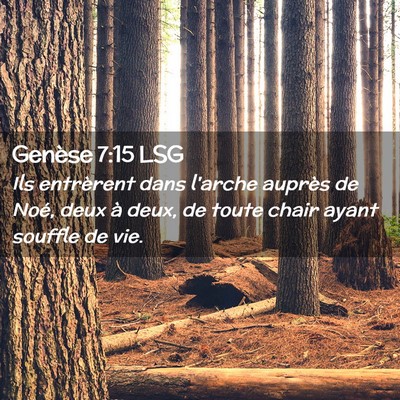 Picture 02 - Genèse 7:15 LSG - Ils entrèrent dans l'arche auprès de Noé, deux - Bible Verse Picture