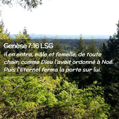 Picture 02 - Genèse 7:16 LSG - Il en entra, mâle et femelle, de toute chair, - Bible Verse Picture
