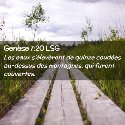 Picture 02 - Genèse 7:20 LSG - Les eaux s'élevèrent de quinze coudées - Bible Verse Picture