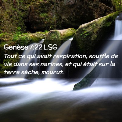 Picture 02 - Genèse 7:22 LSG - Tout ce qui avait respiration, souffle de vie - Bible Verse Picture