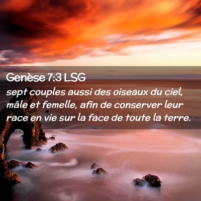 Picture 02 - Genèse 7:3 LSG - sept couples aussi des oiseaux du ciel, mâle et - Bible Verse Picture