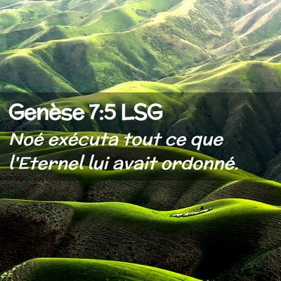 Picture 02 - Genèse 7:5 LSG - Noé exécuta tout ce que l'Eternel lui avait - Bible Verse Picture