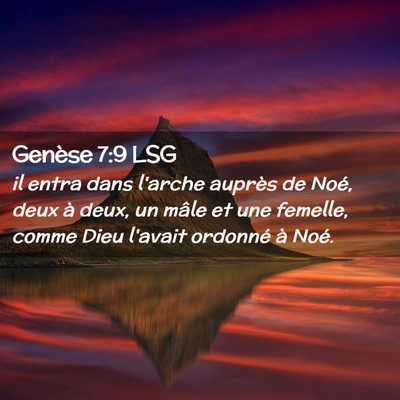 Picture 02 - Genèse 7:9 LSG - il entra dans l'arche auprès de Noé, deux à - Bible Verse Picture
