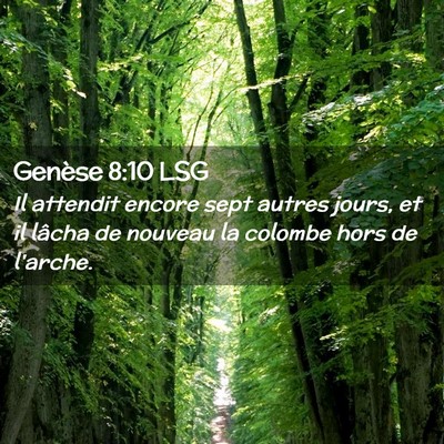 Picture 02 - Genèse 8:10 LSG - Il attendit encore sept autres jours, et il - Bible Verse Picture