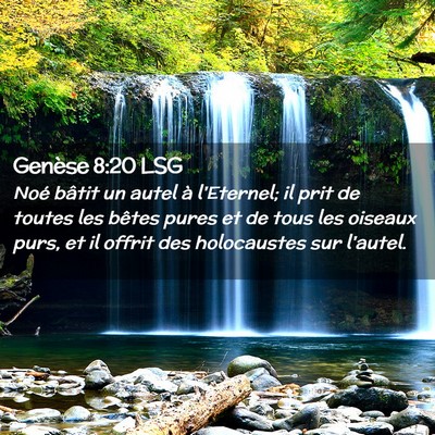 Picture 02 - Genèse 8:20 LSG - Noé bâtit un autel à l'Eternel; il prit de - Bible Verse Picture