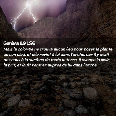 Picture 02 - Genèse 8:9 LSG - Mais la colombe ne trouva aucun lieu pour poser - Bible Verse Picture