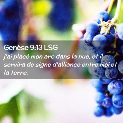 Picture 02 - Genèse 9:13 LSG - j'ai placé mon arc dans la nue, et il servira de - Bible Verse Picture