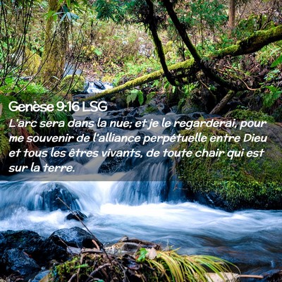 Picture 02 - Genèse 9:16 LSG - L'arc sera dans la nue; et je le regarderai, pour - Bible Verse Picture