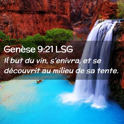 Picture 02 - Genèse 9:21 LSG - Il but du vin, s'enivra, et se découvrit au - Bible Verse Picture