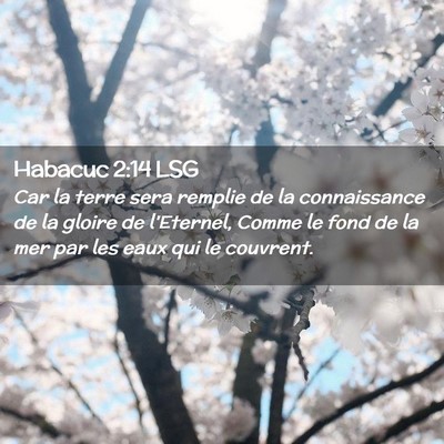 Picture 02 - Habacuc 2:14 LSG - Car la terre sera remplie de la connaissance de - Bible Verse Picture