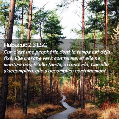 Picture 02 - Habacuc 2:3 LSG - Car c'est une prophétie dont le temps est déjà - Bible Verse Picture